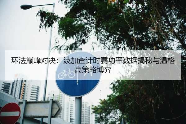 环法巅峰对决：波加查计时赛功率数据揭秘与温格高策略博弈