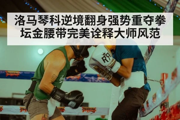 洛马琴科逆境翻身强势重夺拳坛金腰带完美诠释大师风范