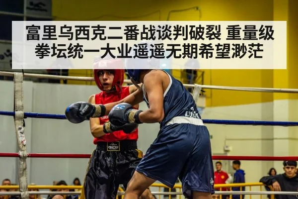 富里乌西克二番战谈判破裂 重量级拳坛统一大业遥遥无期希望渺茫