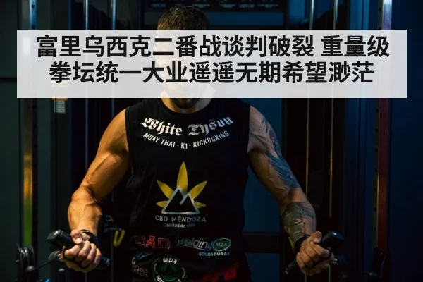 Tyson Fury boxing